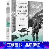 磨铁经典第3辑:热爱生命 [正版]热爱生命 杰克伦敦短篇小说集 经典第3辑伟大导师列宁临终前都在读的小说 励志经典10部