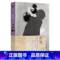 碎镜 [正版]碎镜 小说 梅尔赛罗多雷达 经典第7辑 西班牙版红楼梦 中文版 外国小说 世界名著经典文学作品中长短篇 图