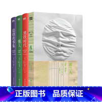 [库切作品集_全4册] [正版]库切 全3册 简体中文黑铁时代+道德故事集+慢人 诺贝尔文学奖 精装珍藏版 库切短篇小说