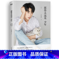 [正版]愿你永远是少年 初恋男友 王旭东快把我哥带走甄开心饰演者 贴心男闺蜜青春文学国民男友散文随笔人物传记成长路上经