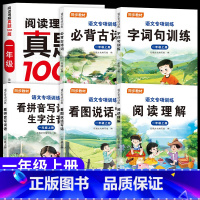 [上册]阅读理解真题+语文同步专项训练全套 小学一年级 [正版]2025新版一年级二年级阅读理解专项训练人教版每日一练上