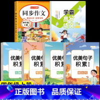 [四上 6册]作文字帖+同步作文+优美句子字帖 [正版]四年级满分作文练字帖小学生字帖4年级上下册语文同步作文字帖每日一