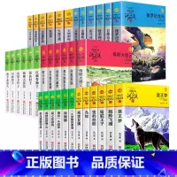 沈石溪品藏书系全套36册 [正版]全集36册沈石溪动物小说品藏书系列 狼王梦斑羚飞渡第七条猎狗雪豹悲歌混血豺王珍藏版全套