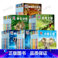 什么是什么·珍藏版全60册 [正版] 德国少年儿童百科知识全书:什么是什么珍藏版 全68册礼盒版 儿童科普百科 少儿科普