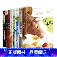 安徒生童话全集[共8册] [正版]经典全译本安徒生童话全集8册 权威完整全译版本 没头脑和不高兴 任溶溶译 6-12岁