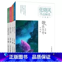 张晓风作品精选·少年版[全4册] [正版]张晓风作品精选·少年版 全套共4册 敬畏生命蜗牛女孩我喜欢故事的老家 二三