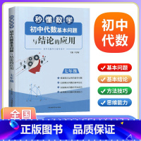 数学 七年级 [正版]秒懂数学初中代数基本问题与结论的应用七年级 7年级上下册数学新思维同步强化训练练习题 初一代数专项