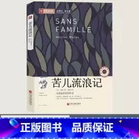 [正版]苦儿流浪记四年级五年级三年级青少版全套全集儿童读物7-8-10-12岁少儿书籍小学生课外书阅读非注音中国文联出