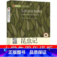 [正版]昆虫记小学生四年级法布尔彩绘版三年级五年级经典书目小学版合集青少年版四五中国少年儿童读物中国文联出版社