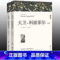 [正版]大卫科波菲尔上下册2本狄更斯中文无删减版长篇小说世界经典名著大卫科坡菲尔人民文学素养中国文联出版社高中读物