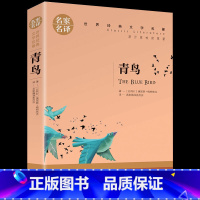 [正版]青鸟书 能打动孩子心灵的世界经典童话7-9-10-12-15岁儿童文学三四五六年级小学生课外阅读物故事书老师童