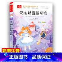 爱丽丝漫游奇境 [正版]爱丽丝漫游奇境记彩图注音版 爱丽丝梦游仙境小学生一二三低年级课外阅读书籍6-8-10岁童话故事