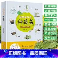 [正版]手把手教你种蔬菜 种菜栽培实用手册蔬菜种植技术私家菜园宝典书