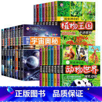 [全24册]探索宇宙奥秘+动物世界+植物王国 [正版]探索宇宙奥秘全套8册 宇宙百科全书 小学生太空百科全书揭秘星空天文