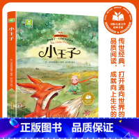 小王子 [正版]国际儿童文学经典书系22册 彩绘注音版无障碍阅读 爱的教育 安徒生童话 八十天环游地球 草原上的小木屋