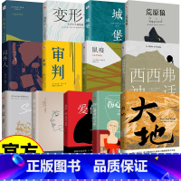 大地 [正版]世界文学名著13册诺贝尔文学奖代表作全译中文版大地爱伦坡短篇小说集伤心咖啡馆之歌在轮下变形记城堡荒原狼局外