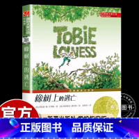 [新蕾国际大奖]橡树上的逃亡 [正版]国际大奖小说35公斤的希望 小学生三四五六年级课外书阅读老师阅读人教版纽伯瑞儿童文