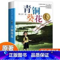 青铜葵花 [正版]青铜葵花曹文轩小学生三四五六年级课外阅读书籍初中生的文学读物