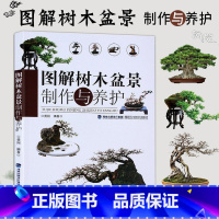 图解树木盆景制作与养护 [正版]图解树木盆景制作与养护 附石盆景盆栽树木盆景造型设计栽培书籍