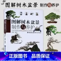 图解树木盆景制作与养护 [正版]图解树木盆景制作与养护 附石盆景盆栽树木盆景造型设计栽培书籍