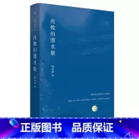 夜晚的潜水艇 [正版]夜晚的潜水艇 第四届宝珀文学奖得主陈春成短篇小说集 余华 口碑佳作 文学小说书作品阅读