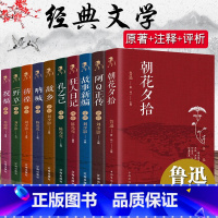 鲁迅经典全集(全10册) [正版]鲁迅读本小说原著散文杂文经典精选全10册朝花夕拾祝福评析阿Q正传彷徨赏读故乡评析故事新