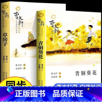 青铜葵花+草房子 [正版]青铜葵花+草房子 曹文轩纯美小说系列全集儿童文学三四五六年级上册下册课外阅读书籍快乐读书吧