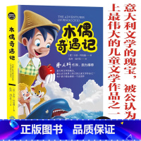 木偶奇遇记 [正版]世界经典儿童文学12册基础教育阅读工程木偶奇遇记西顿动物故事集彼得兔的故事宝葫芦的秘密城南旧事柳林风
