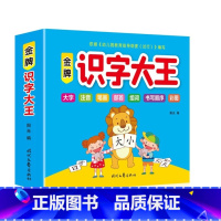 金牌识字大王 [正版]识字大王幼儿学前看图认字识字书 3-4-5-6-7岁儿童宝宝幼小衔接趣味识字卡一年级同步训练学汉字