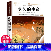 永久的生命 [正版]的生命 初中生课外书老师八年级上册 经典书目适合初二学生读的儿童文学散文作品读物六七年级青少年课外阅