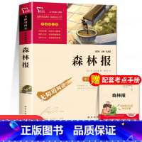 森林报 [正版]森林报四年级下册课外阅读书老师经典书目春夏秋冬三四五六年级小学生课外阅读书籍快乐读书吧比安基原著原版阅读