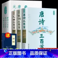 唐诗宋词元曲三百首+精装诗经 [正版]全3册 唐诗三百首唐诗宋词元曲全集楚辞中国古诗词大全鉴赏辞典诗词集书籍全套300首