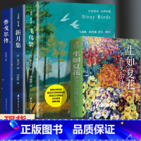 [泰戈尔诗集4册]生如夏花+飞鸟集+新月集+泰戈尔传 [正版]飞鸟集新月集泰戈尔著生如夏花诗选选集全3册中英双语版全新精