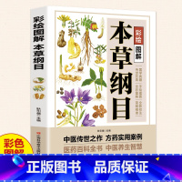 [正版]彩绘图解本草纲目李时珍原著全套白话版药草书草本纲目 中医养生入门书籍大全黄帝内经中药材书籍中草药图解大全 中医