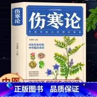 [正版]伤寒论 张仲景 中医书籍大全 彩图典藏版含原文注释译文 杂病论医药大全中医书籍中草药彩图大全书医学类书籍中药中
