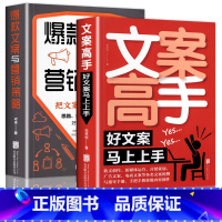 [正版]2册365日创意文案高手文案与营销策略提升销售技巧建立抖音快手私域的策划与写作提升直播人气新媒体素材运营销