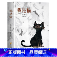 我是猫 [正版]我是猫 夏目漱石 日本中文外国文学书籍日本文学小说经典世界名著现代文学书籍高中成人课外阅读外国文学日本文
