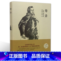 [正版]精装全译母亲 儿童世界经典文学名著精装版名著导读中外青少年版名著阅读 书籍排行榜CD