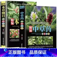 [正版]全2册精编中草药+本草纲目原色图谱中草药全图鉴速查手册图谱中国药材图鉴大全常用中草药识别应用原色图片中医学书籍