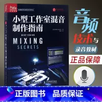[正版]小型工作室混音制作指南 高级混音制作技巧大全 混音制作入门指导书 录音师制作技巧 专业混音技术教程书籍 现代音