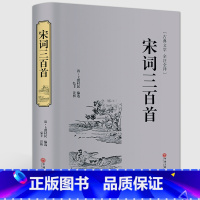 [正版]精装全译宋词三百首 精装版全译本原版原著无删减完整版 文白对照原文注释词意赏析 中国古诗词古典文学名著书