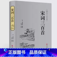 [正版]精装全译宋词三百首 精装版全译本原版原著无删减完整版 文白对照原文注释词意赏析 中国古诗词古典文学名著书