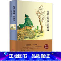 [正版]精装全译契诃夫短篇小说精选 儿童世界经典文学名著精装版名著导读中外青少年版九年级课外名著阅读文学作品