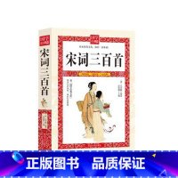 [正版]宋词三百首 原文青少年背古诗词古典文学 中华古诗词 古诗词鉴赏中国古诗词大会小学生国学经典书籍书古诗大全集
