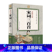 [正版]彩图全解宋词三百首图解祥析书籍 图文详解精选 详注详析原文注释 词意 文白对照 唐诗三百首 宋词三百首 元曲三