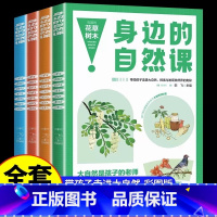 [全4册]身边的自然课 [正版]全套4册身边的自然课 科普类书籍小学一二三四五六年级图画书3-6-9岁儿童认知自然科普绘