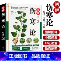 [正版]伤寒论张仲景原著全集图解伤寒杂病论白话文全解 中医养生书籍大全医学全书 中医古籍出版社零基础学中医基础知识自学