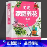 [正版]实用家庭养花一本通书籍彩图详解 花卉养护知识养花教程花卉知识介绍种植栽培修剪指导繁殖法书籍 鲜花品种介绍养护知