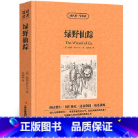 [正版]绿野仙踪鲍姆著读名著学英语中英对照英汉对照中英文双语版经典世界名著外国文学长篇小说英文版英语读物初高中生课外阅
