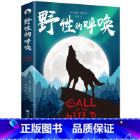 野性的呼唤 [正版]野性的呼唤中文版杰克伦敦世界名著外国文学外国现当代文学荒野的呼唤四五六年级必读课外书经典书目初中生高